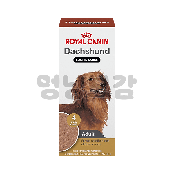 ROYAL CANIN Dachshund Adult Loaf in Sauce Canned Dog Food