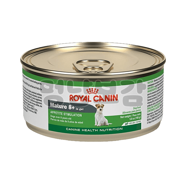 ROYAL CANIN Mature 8+ in Gel Canned Dog Food
