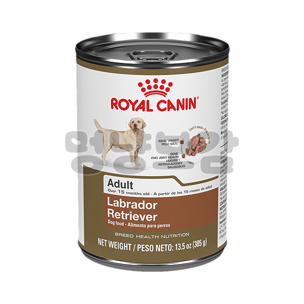 ROYAL CANIN Labrador Retriever Adult Loaf in Sauce Canned Dog Food