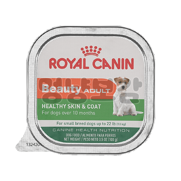 ROYAL CANIN Beauty Adult in Gel Tray Dog Food